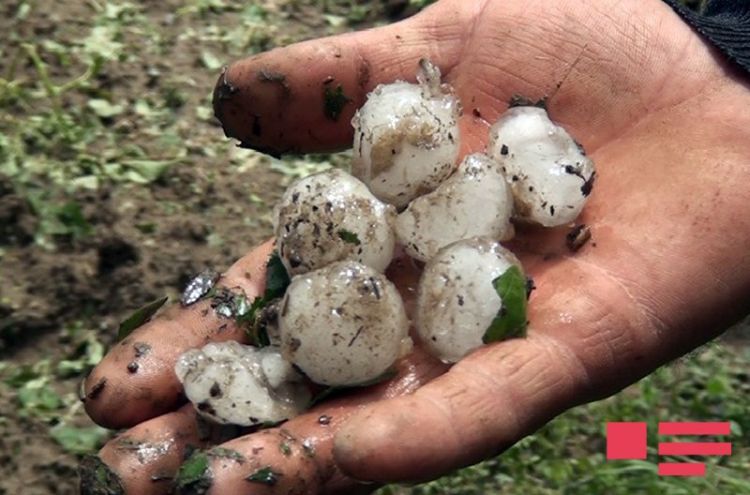 Hava sabahdan pisləşəcək - XƏBƏRDARLIQ