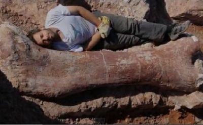 Dünyanın ən böyük dinozavrının skeleti tapıldı