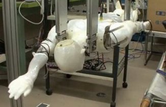 Yaponiyada üzgüçü-robot yaradılıb