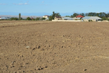 Torpaq sahəsini özbaşına tutanları bu cəza gözləyir