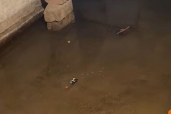 Binəqədi sakinləri acınacaqlı vəziyyətdə – Video